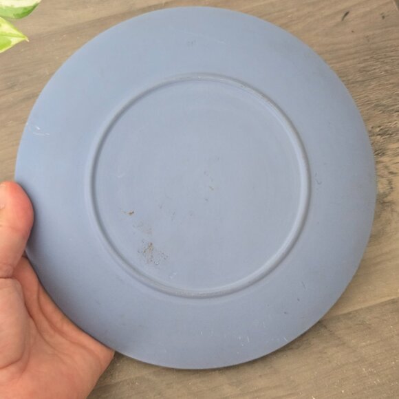 3/$100 π« Vintage Jasperware Commemorative Plate β 100 Year Anniversary - Picture 5 of 5